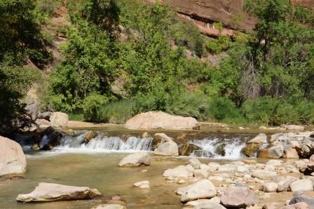 Zion N.P.